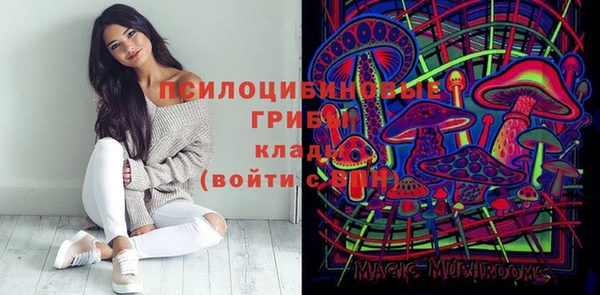 МДПВ Армянск