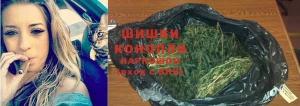 прущие крисы Арсеньев